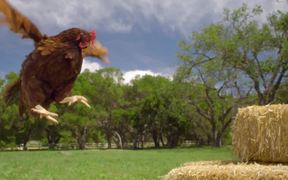 Intuit Commercial: Happy Hens