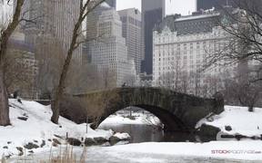 Panorama from Central Park in Slow Motion