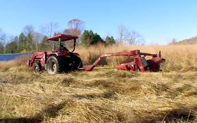 Switchgrass Biomass Feedstock B-Roll - Tech - VIDEOTIME.COM