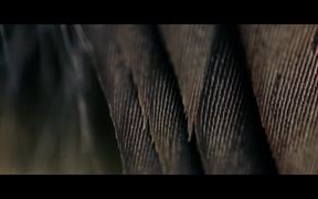 Stella Artois Commercial: Rufus The Real Hawk-Eye - Commercials - VIDEOTIME.COM