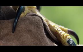 Stella Artois Commercial: Rufus The Real Hawk-Eye - Commercials - VIDEOTIME.COM