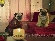 Blinkbox: Pugs as Game of Thrones Characters - Commercials - Y8.COM