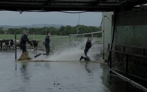 Devondale Commercial: Chilled Milk - Commercials - VIDEOTIME.COM