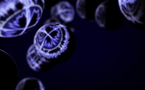 Video of Abstract Digital Balls in HD