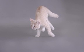 Kotex Commercial: Cat Pad - Commercials - VIDEOTIME.COM