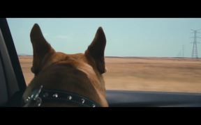 Citroën Commercial: Dog Stretching - Commercials - VIDEOTIME.COM