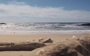 California Coastal: Coastal Cleanup Day
