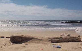 California Coastal: Coastal Cleanup Day