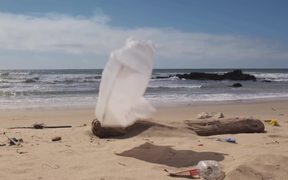 California Coastal: Coastal Cleanup Day - Commercials - VIDEOTIME.COM