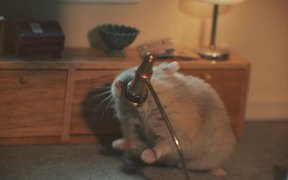 SpareBank 1 Commercial: MC Hamster