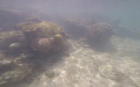 Underwater Video Taken in Uganzaki Beach - Fun - VIDEOTIME.COM