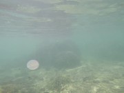 Underwater Video Taken in Uganzaki Beach - Fun - Y8.COM