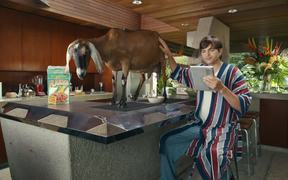 Lenovo Campaign: Ashton Kutcher and a Goat