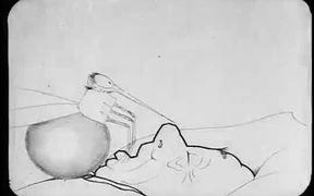 Animated Film - The Story of a Mosquito 1912