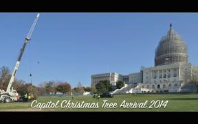 2014 Capitol Christmas Tree Arrival Timelapse