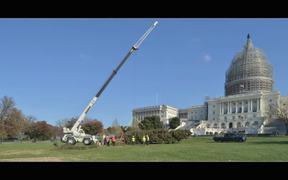 2014 Capitol Christmas Tree Arrival Timelapse - Commercials - VIDEOTIME.COM