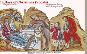 12 Days of Christmas Vocals