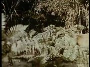 Jungle Book - Movie trailer - Y8.COM