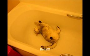 Murphy Chillin In The Bath Xvid
