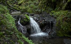 Along Gordon Creek Waterfall - Fun - VIDEOTIME.COM