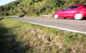 Mazda 3 - Test Drive & Review