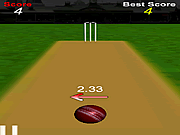 Cricket  Ball Fever