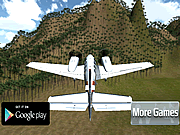 3D Flight Sim