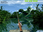 Summer Lake Fishing - Sports - Y8.COM