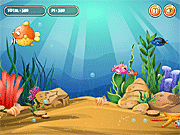 Fish Eat Fish 3 Players - Arcade & Classic - Y8.COM