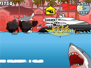 Miami Shark