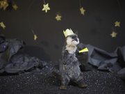 Stop Motion Animation Video - The Otter King