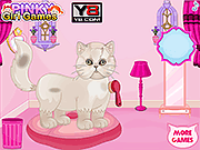 Persian Cat Princess Care