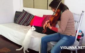 Violinna Vs White Cat