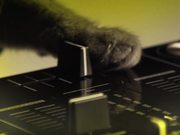 Meow Mix Video: A Meow Mix by Ashworth