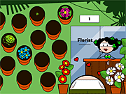 The Florist Game