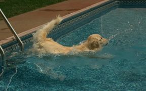 Bailey Swims