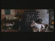 It's a Dog's Life (1955)