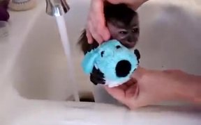 Baby Monkey Nala Gets a Bath